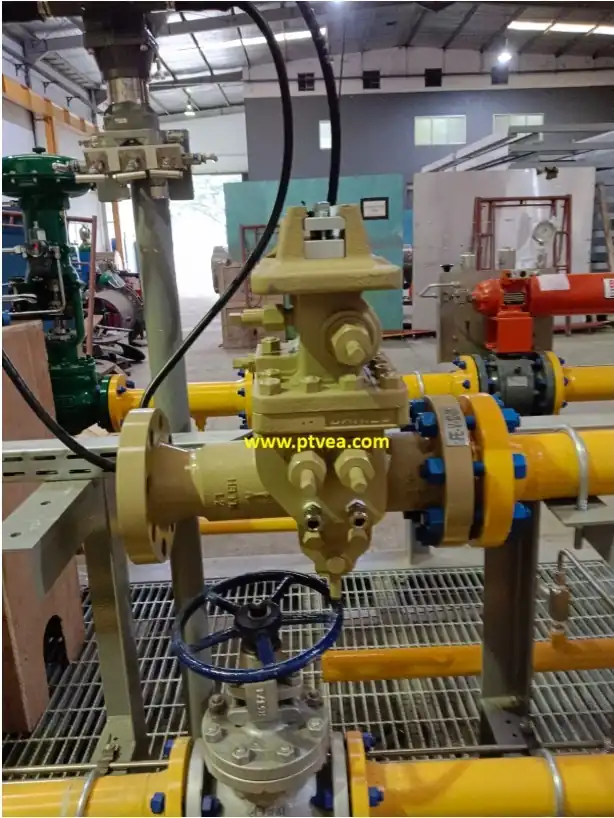 SENIOR ORIFICE FITTING - DANIEL